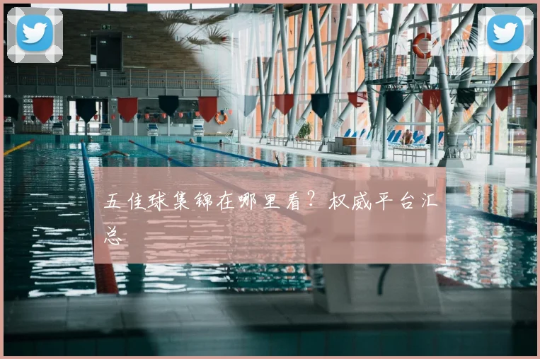 五佳球集锦在哪里看？权威平台汇总
