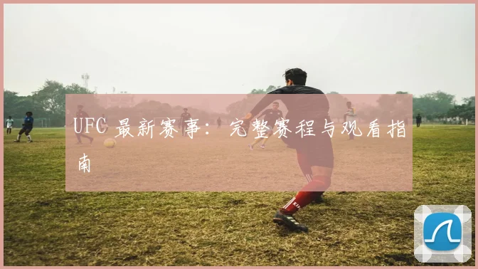 UFC 最新赛事：完整赛程与观看指南